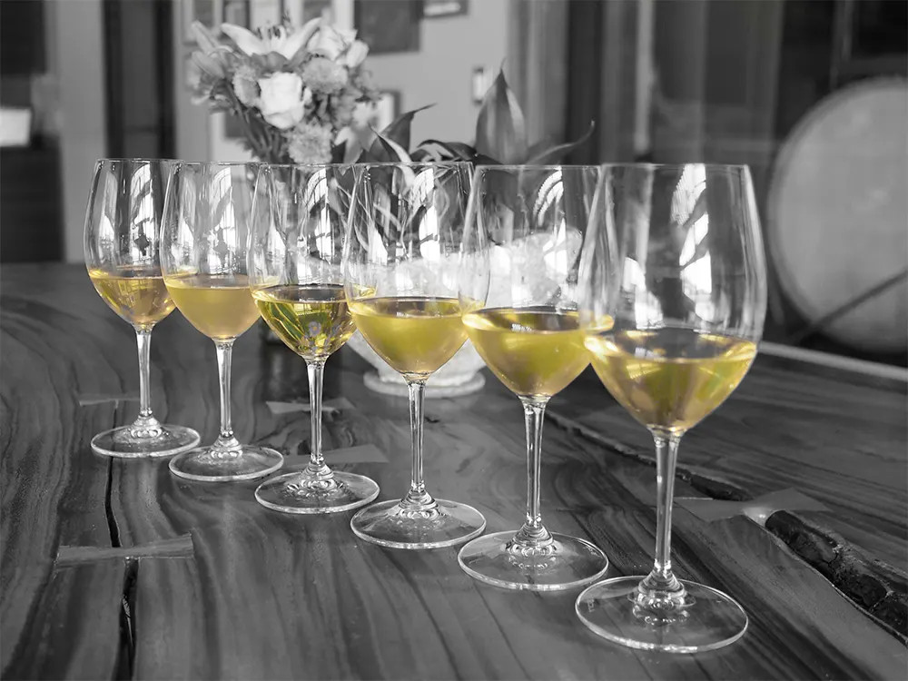 white wine Paso Robles