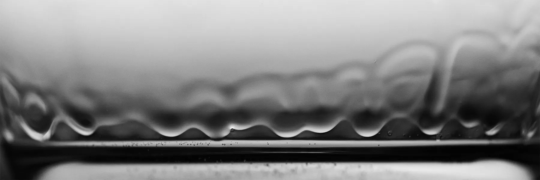 Paso Robles white wine Tin City