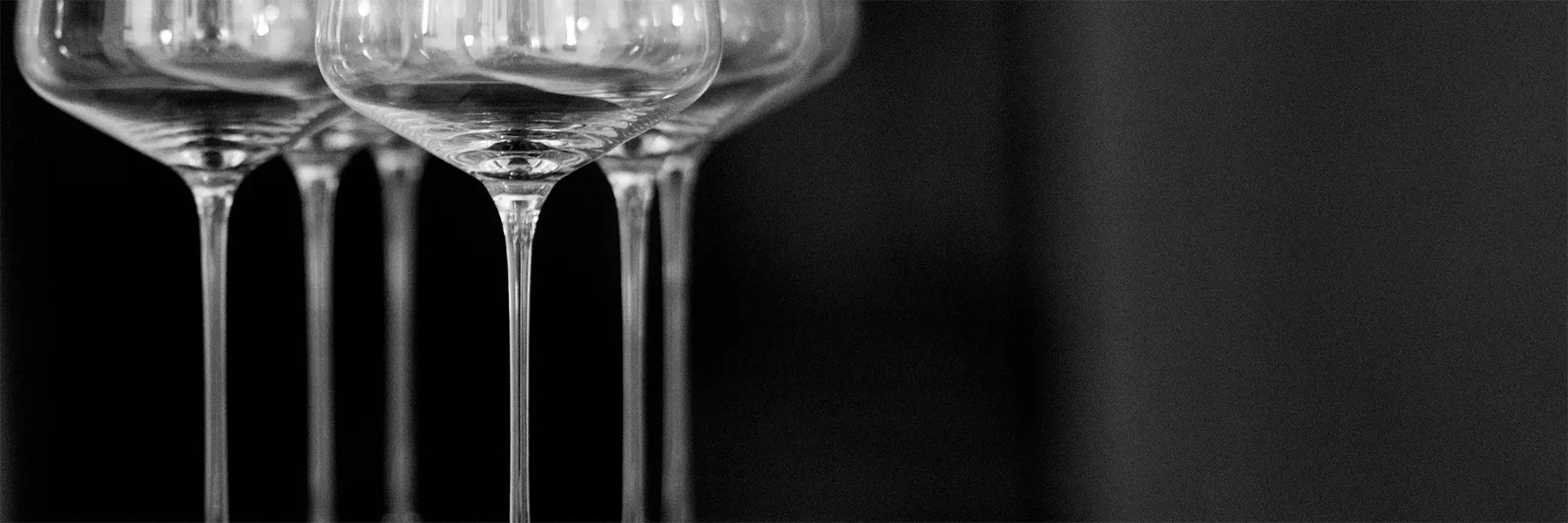 best white wine winetasting