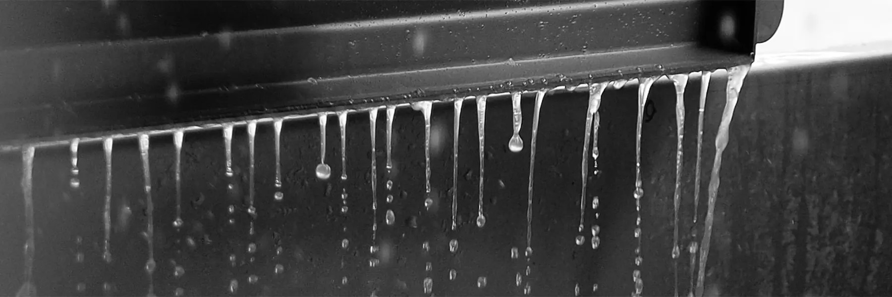 Paso Robles albarino white wine Tin City