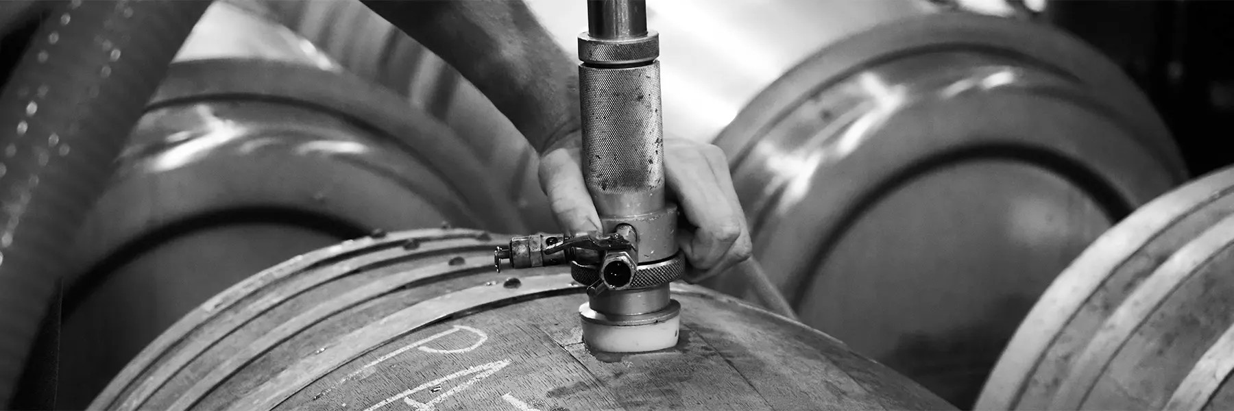 Paso Robles Tin City wineries white wine winetasting